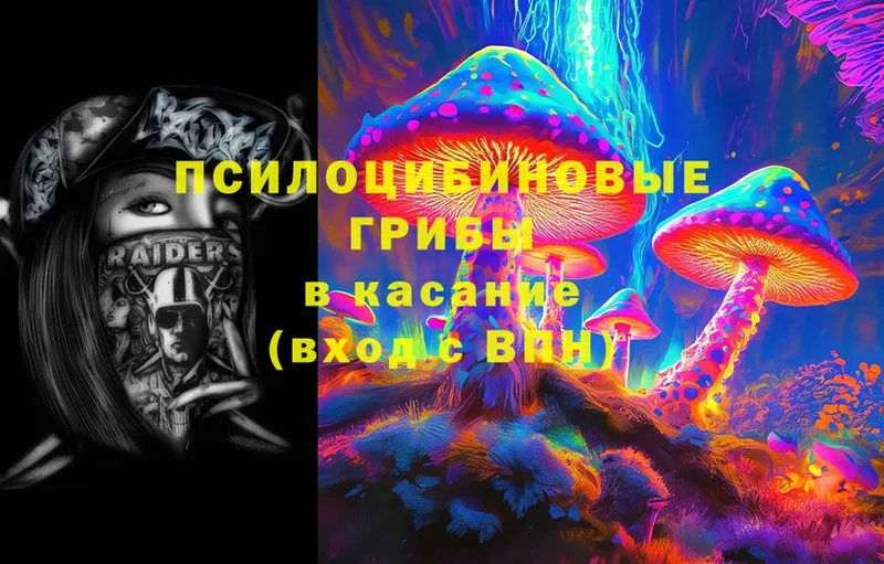 Галлюциногенные грибы Psilocybe Ивдель